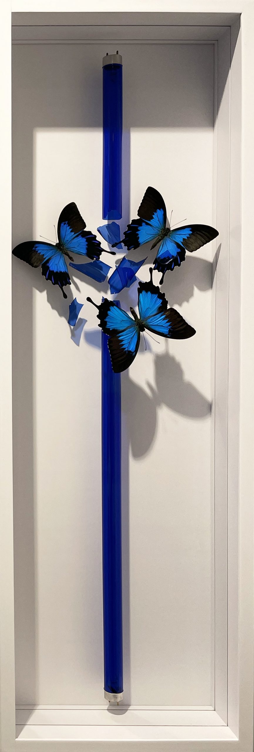 Stephanie Mackenzie - Portrait artiste © Marciano Contemporary